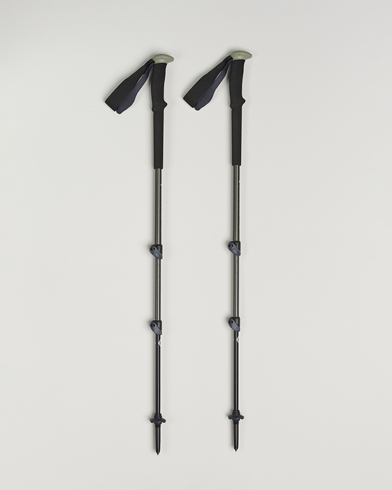 Black Diamond Trail Trekking Poles Pine Smoke – Grå